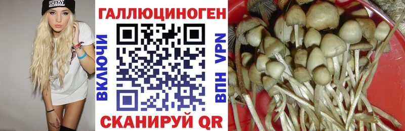 Галлюциногенные грибы мицелий  Купить закладки  Ефремов 